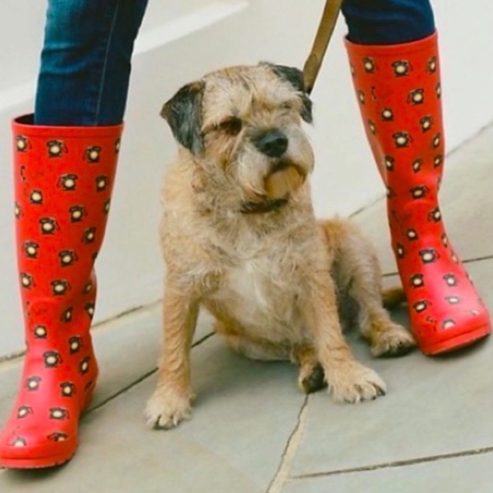 Anthropologie Colloquial Rain boots